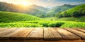 Wooden Table with Green Tea Mountain and Grass Field Blur Royalty Free Stock Photo