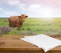 Wooden table with kitchen towel over defocused cow meadow background Royalty Free Stock Photo