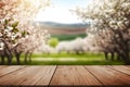Wooden table mockup template with blossom spring blurred on the background
