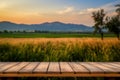 Wooden table, mountain horizon, and sunset field blur serene