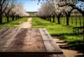 Wooden table place for an object in the garden with flowers. Royalty Free Stock Photo
