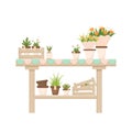 Wooden table with potted plants, flowers, florist shop, orangery decoration in cartoon style isolated on white