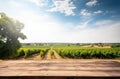 Wooden table for product presentaion with grapes Royalty Free Stock Photo