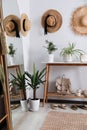 Wooden table with shoes, accessories and houseplants near wall in hallway