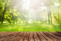 Wooden table and spring forest background Royalty Free Stock Photo