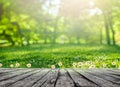 Wooden table and spring forest background Royalty Free Stock Photo