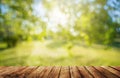 A Wooden table and spring forest background Royalty Free Stock Photo