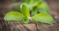 Wooden table with Stevia leaves (selective focus)