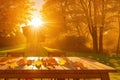 Wooden table surface at autumn fall forest. Beautiful sunny autumn day. Perfect seasonal display template, generative ai Royalty Free Stock Photo