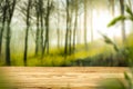 Wooden table top background with space for advertising product or decoration and spring or summer background Royalty Free Stock Photo
