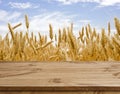 Wooden table surface over defocused golden wheat field landscape background