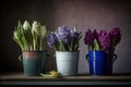 On the wooden table there are three iron multicolored pots with a variety of flowering hyacinths