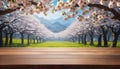 Wooden table top with background of white Cherry Blossom flowers. Generative ai