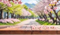 Wooden table top with blur background of Pink Cherry blossom flowers. Generative AI Royalty Free Stock Photo