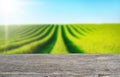 Wooden table top on blur green leaf vegetable field background in daytime.Harvest rice or whole wheat.For montage product display Royalty Free Stock Photo