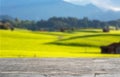 Wooden table top on blur rice field and mountain background.For place food,drink or health care business.fresh landscape and relax