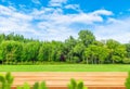 Wooden table top with Blurry image of green grass meadow field and green trees. Royalty Free Stock Photo