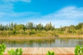 Wooden Table Top With Blurry Image Of Green Trees And Lake With White Clouds And Blue Sky.