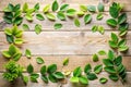Wooden table top with spring green leafs as frame and free space for text Royalty Free Stock Photo