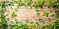 Wooden table top with spring green leafs as frame and free space for text Royalty Free Stock Photo