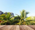 Wooden table top over coconut tree leaves and clear light blue sky Royalty Free Stock Photo