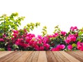 Wooden table top over pink Bougainvillea flower isolated Royalty Free Stock Photo