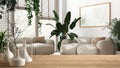 Wooden table top or shelf with minimalistic modern vases over minimal white living room with many houseplants, urban jungle,