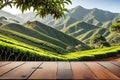 Wooden table top surface in foreground, sharpness out of focus: tea plantation undulating, mountain backdrop