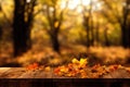 a wooden table topped with leaves covered in fall colors in a forest setting with trees in the background and a sunbeam