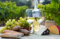 Wine, cheese, grape on vineyard background