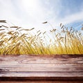 Wooden table with wheat field background. Blue sky over ripe yellow wheat field. Summer background, mock up for design Royalty Free Stock Photo