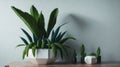 Wooden table in the white room showcased a charming arrangement of potted plants and small cactus pots, their vibrant greens and