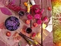 Wooden table with wine and grapes in autumn garden. Royalty Free Stock Photo