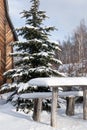 Wooden table on winter sunny landscape with fir trees