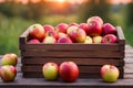 Wooden deck table with a wooden box with apples, blurred yard background. Royalty Free Stock Photo