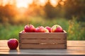 Wooden deck table with a wooden box with apples, blurred yard background. Royalty Free Stock Photo