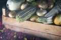 Autumn harvest: zucchini, yellow and red plums, onions Royalty Free Stock Photo