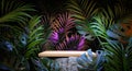 Wooden tabletop on a boulder placed among an exotic jungle. Podium platform for product presentation. Summertime background.