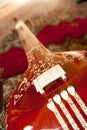 Wooden Tanpura frame and strings Royalty Free Stock Photo