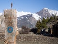 Wooden target archery for hunter practice