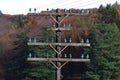 Wooden telephone pole