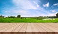 Wooden terrace with green rice field and blue sky in the morning Royalty Free Stock Photo