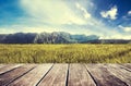 Wooden terrace with green rice field and blue sky, vintage tone Royalty Free Stock Photo