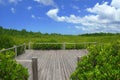 Wooden terrace with nature green