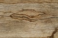 Wooden texture background. Brown wood texture, old wood texture for add text or work design for backdrop product. top view. Royalty Free Stock Photo