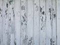 Wooden texture background surface with cracked white paint Royalty Free Stock Photo