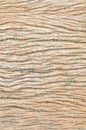 Wooden texture - a bark of an old tree Royalty Free Stock Photo
