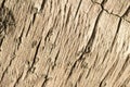 Wooden texture close up photo. White and grey wood background. Royalty Free Stock Photo