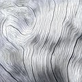 Wooden texture close up photo. White and grey wood background. Royalty Free Stock Photo