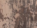 Wooden texture of a natural tree. Painted hardwood aged surface. Organic background in a pink brown palette.